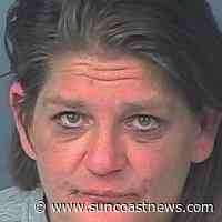 Deputy delivers Door Dash meal after driver is arrested - Suncoast News