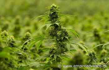 Hexo to streamline operations by closing Belleville facility, affecting 230 employees - Virden Empire Advance