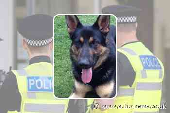 Basildon bike theft probe leads to two arrests | Echo - Southend Echo