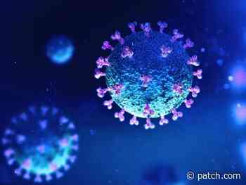 Westport Coronavirus Infection Rate Rising - Patch