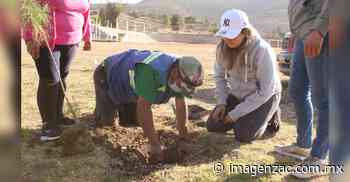 Con reforestación conmemoran el Día de la Tierra en Sombrerete - Imagen de Zacatecas, el periódico de los zacatecanos