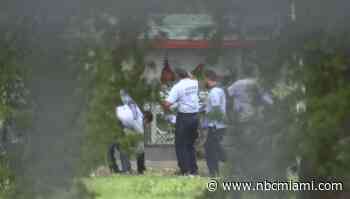 Miami-Dade Man Accused of Training, Selling Roosters for Fighting