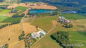 Rees: Benefiztag zu Gunsten der Ukraine auf dem Reitplatz - NRZ News