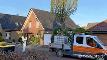 Rees: So viele Bäume werden gegen EPS in der Stadt besprüht - NRZ News