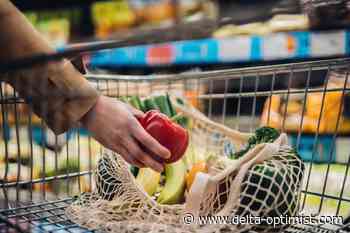 Opinion: Agritech investments needed now to shore up B.C. food security - Delta Optimist