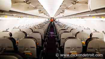 Man who sexually assaulted woman in middle seat of Delta flight to Detroit claims he was asleep, feds say - WDIV ClickOnDetroit