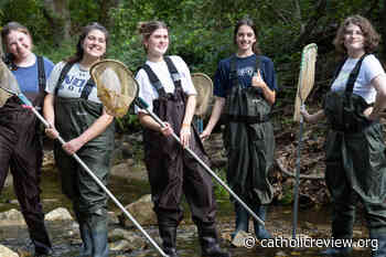 Baltimore schools drive home pope's message for sustainable environment - Catholic Review of Baltimore