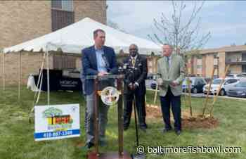 Baltimore County expands tree-planting initiative in underserved communities - - Baltimore Fishbowl