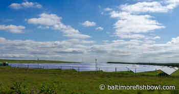 Baltimore-based solar company partnering with UMMS to build solar farm in Baltimore - - Baltimore Fishbowl