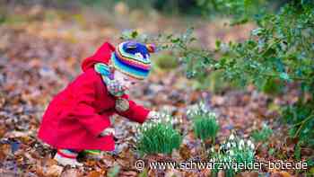 Betreuung in Schramberg - Schutzhütte wird nun gebaut – Tannenmoggele-Start ist noch offen - Schwarzwälder Bote