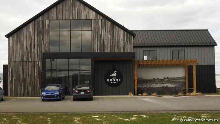 ‘It’s definitely a concern for us:’ Avian flu suspected behind death of geese in Coaldale