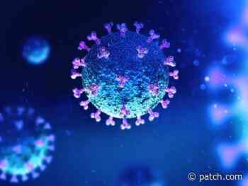 Wilton Still In Coronavirus Red Zone As Cases Soar - Patch