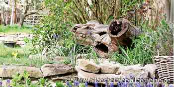 Alle Orte, alle Termine: Diese Gärten in der Region Hildesheim warten auf Besuch - www.hildesheimer-allgemeine.de