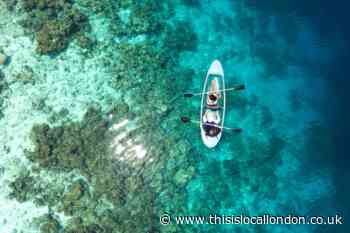 Be a Coral Reef Gardener at Coco Collection's Maldives resort - See this dream job