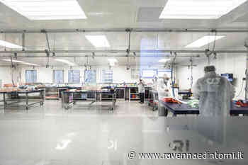 Alpha Tauri, la scuderia di Formula 1 che a Faenza dà lavoro a 500 persone - Ravenna e Dintorni