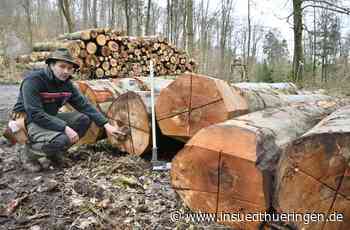 Forst Unterbreizbach - Leute sollen ohne Angst in den Wald gehen können - inSüdthüringen