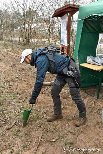 Exoskelette für den Forst - forstpraxis.de