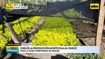 Fuerte Olimpo: La falta de lluvia preocupa a productores en el Chaco - ABC Color