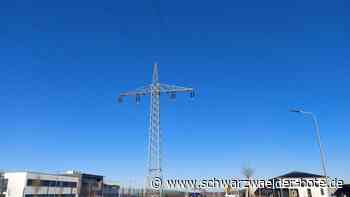 Gewerbegebiet Sulz/Vöhringen - Weitere Flächen sollen für "InPark A 81" gekauft werden - Schwarzwälder Bote