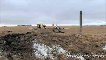 Plane crash near Calgary kills man, injures woman | CTV News - CTV News Calgary