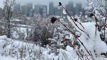 Calgary hit with intense but brief spring snowstorm - CBC.ca