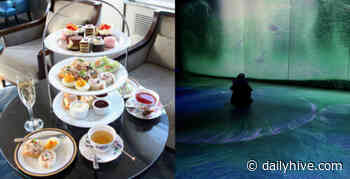 12 things to do in Calgary this weekend: April 22 to 24 | Listed - Daily Hive