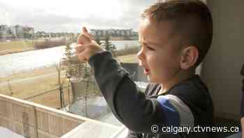 'We have a supercharged toddler running around': Calgary mom raises awareness for organ donation | CTV News - CTV News Calgary