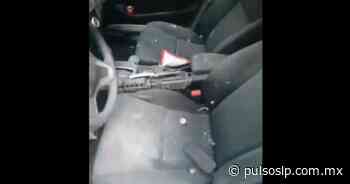 Desarticulan célula delictiva en Cerritos (VIDEO) - Pulso de San Luis