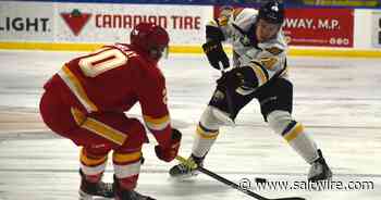 Cape Breton Eagles snap 10-game losing streak with win over Baie-Comeau Drakkar at home - Saltwire