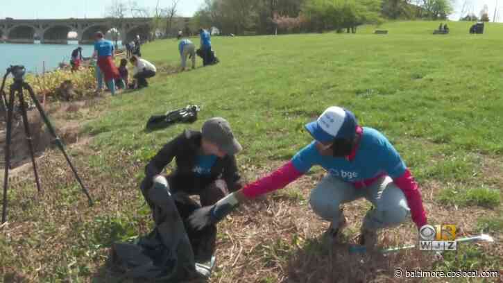 Community Cleans Up Middle Branch Park with Blue Water Baltimore for Earth Day