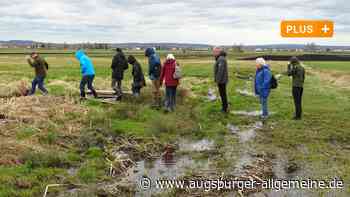 Aichach-Friedberg: Mit Projekten wie diesen soll das Donaumoos gerettet werden | Aichacher Nachrichten - Augsburger Allgemeine