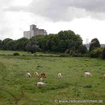 App soll helfen Wölfe zu verscheuchen - radioeuskirchen.de
