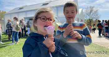 Buitenspeeldag Diest ongezien succes met meer dan 2.000 bezoekers - Het Laatste Nieuws