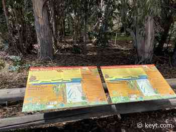 Western Monarch Trail opens at Pismo State Beach Monarch Grove | News Channel 3-12 - KEYT