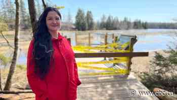 Cornwall community 'heartbroken' by vandalism on nature trail - CBC.ca