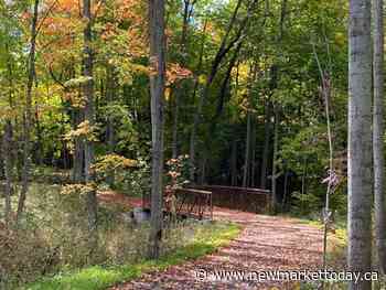 New walking, cycling trail opens in Holland Landing - NewmarketToday.ca