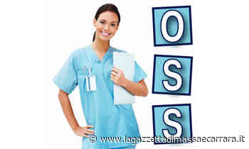 Comune di Massa: mozione sul demansionamento degli Oss - La Gazzetta di Massa e Carrara