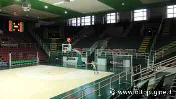 Basket, la Del Fes attende Formia. Novità per il logo della Scandone Avellino - Ottopagine