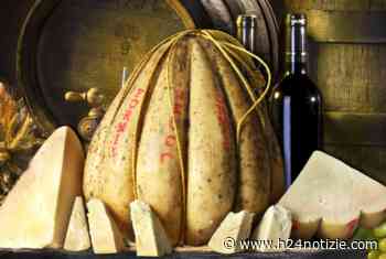 Formia, 'Gambero Rosso' premia il provolone Recco - h24 notizie - portale indipendente di news dalla provincia - h24 notizie