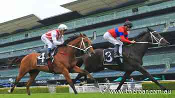 Sydney racing selections: Randwick tips for Saturday, April 23 - The Roar