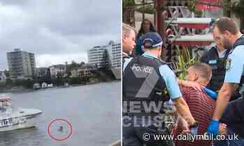 Man JUMPS off a ferry into Sydney Harbour and then refuses to get out [Video] - Daily Mail