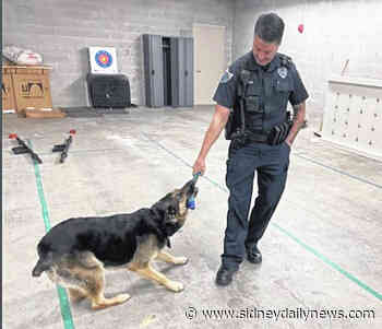 Working like a dog: Kilo is back to full duty - sidneydailynews.com