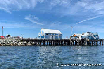 Sidney renews leases for Beacon Wharf businesses while raising their rates – Saanich News - Saanich News