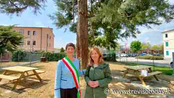 Silea, nuova aula all'aperto per la scuola elementare Vivaldi - TrevisoToday