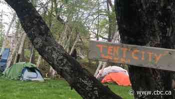 Fredericton mayor explains change of heart on tents for homeless - CBC.ca