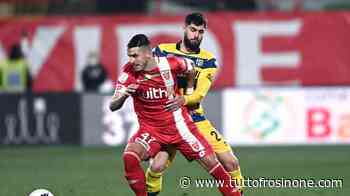 Monza, verso il Frosinone: dubbio in attacco per Stroppa - Tuttofrosinone