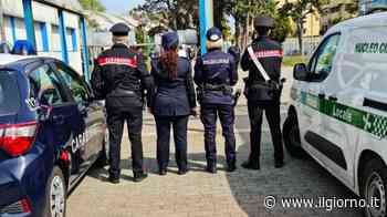 Monza, controlli a scuola: trovate sostanze stupefacenti e bilancini di precisione - IL GIORNO