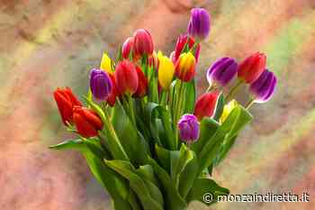 "Il mal dei fiori" alla Villa Reale di Monza - Monza in Diretta