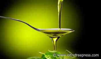 Oggi a Melfi la cerimonia di premiazione del premio Olivarum 2021/22 - Oltre Free Press