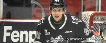 LHJMQ: une correction en règle à Halifax